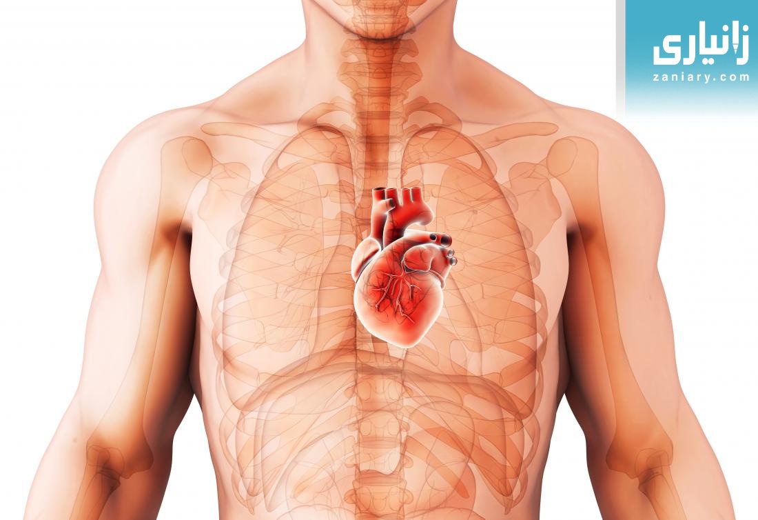 گەورەترین پلاتفۆرمی تایبەت تەندروستی